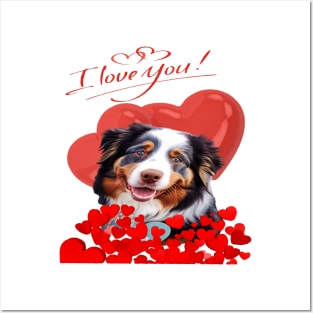 valentines day Loves Aussies Australian Shepherd Posters and Art